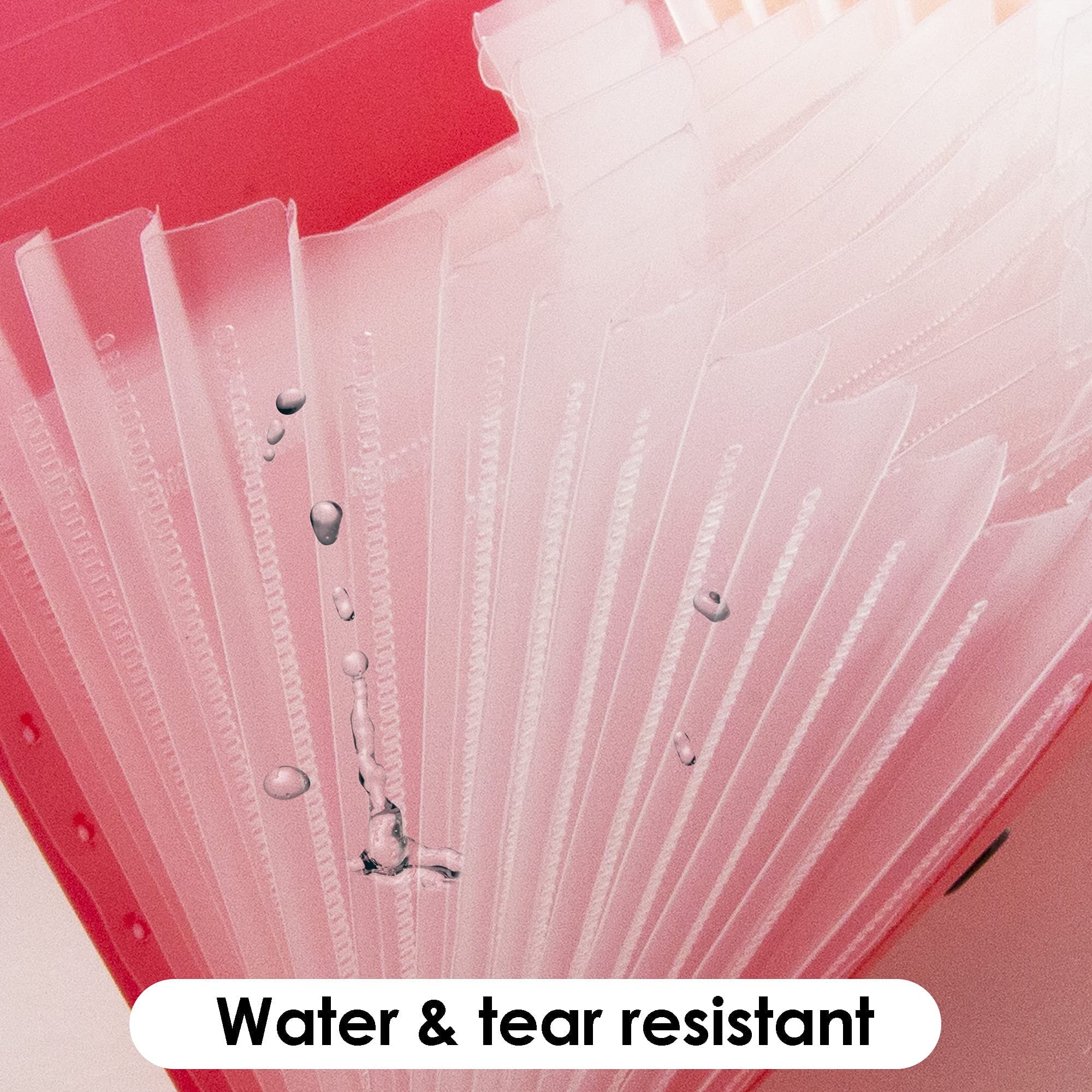 BAZIC Expanding File Plastic Folder 13 Pockets Coupon Size Envelopes, 6-Pack